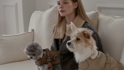 CTC (Crook The Chihuahua) |韓国の人気犬服・キャリーバッグ