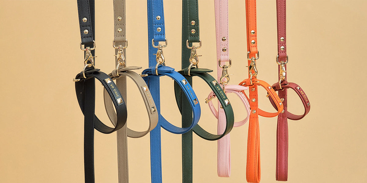 PET SO CHIC