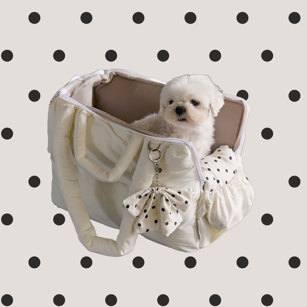 【予約】Mou dot dot set