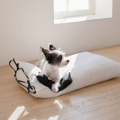 【予約】cozny cushion