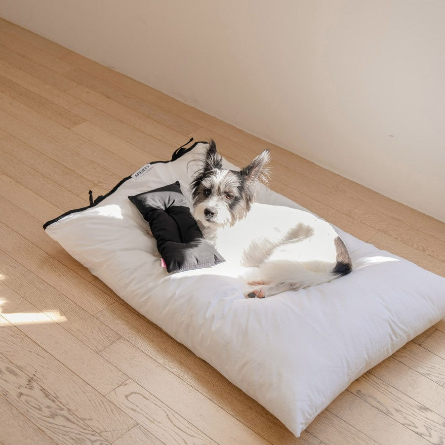 【予約】cozny cushion