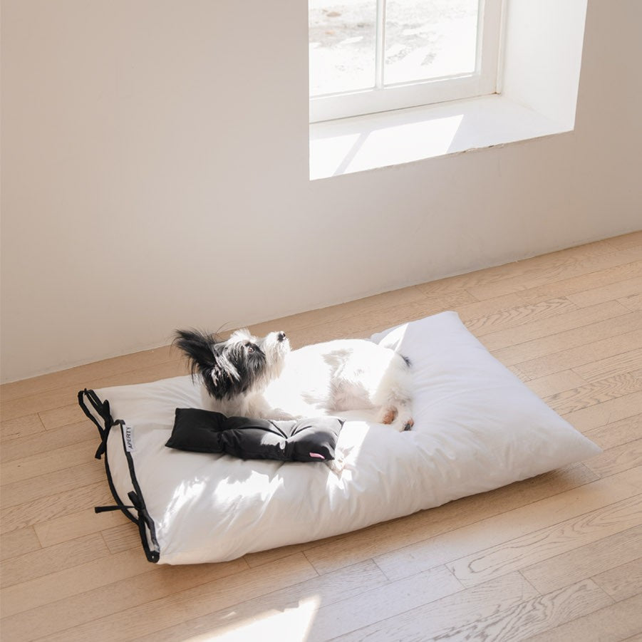 【予約】cozny cushion