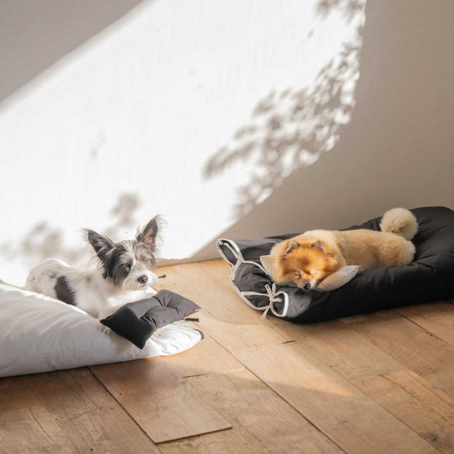 【予約】cozny cushion