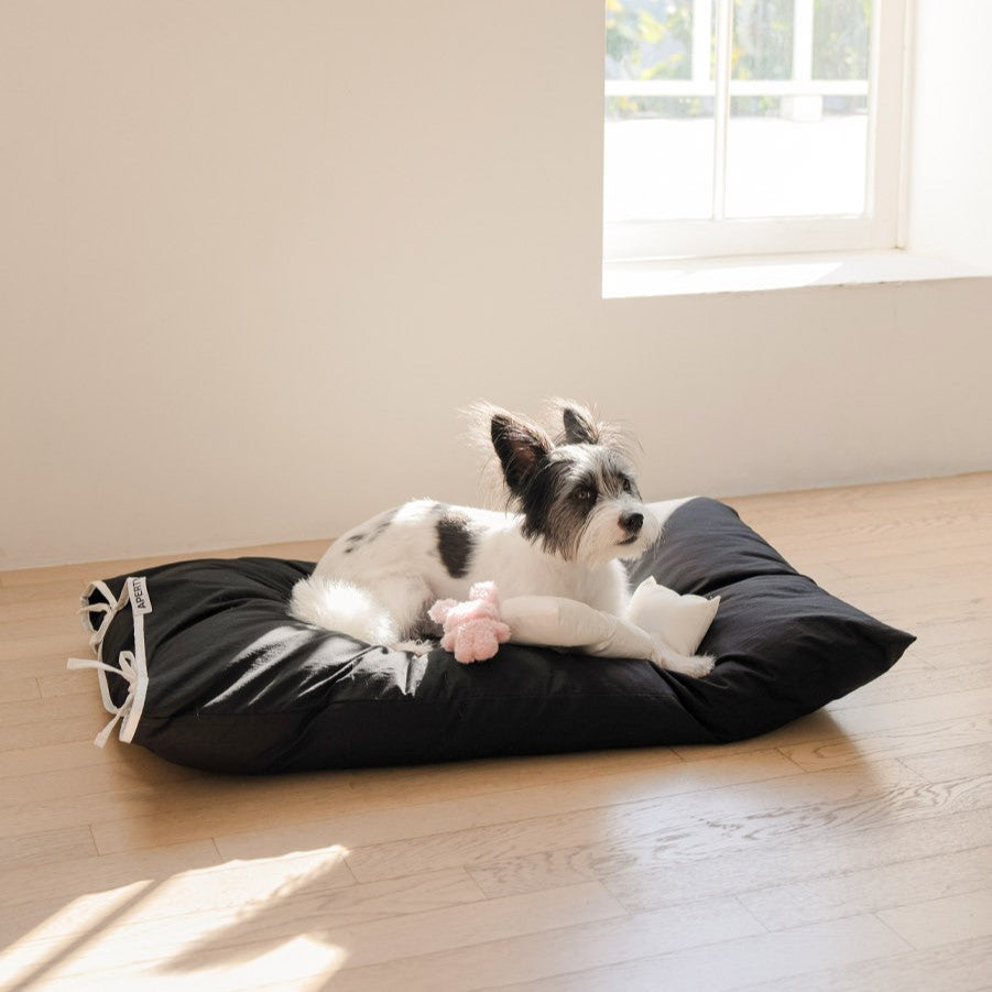 【予約】cozny cushion
