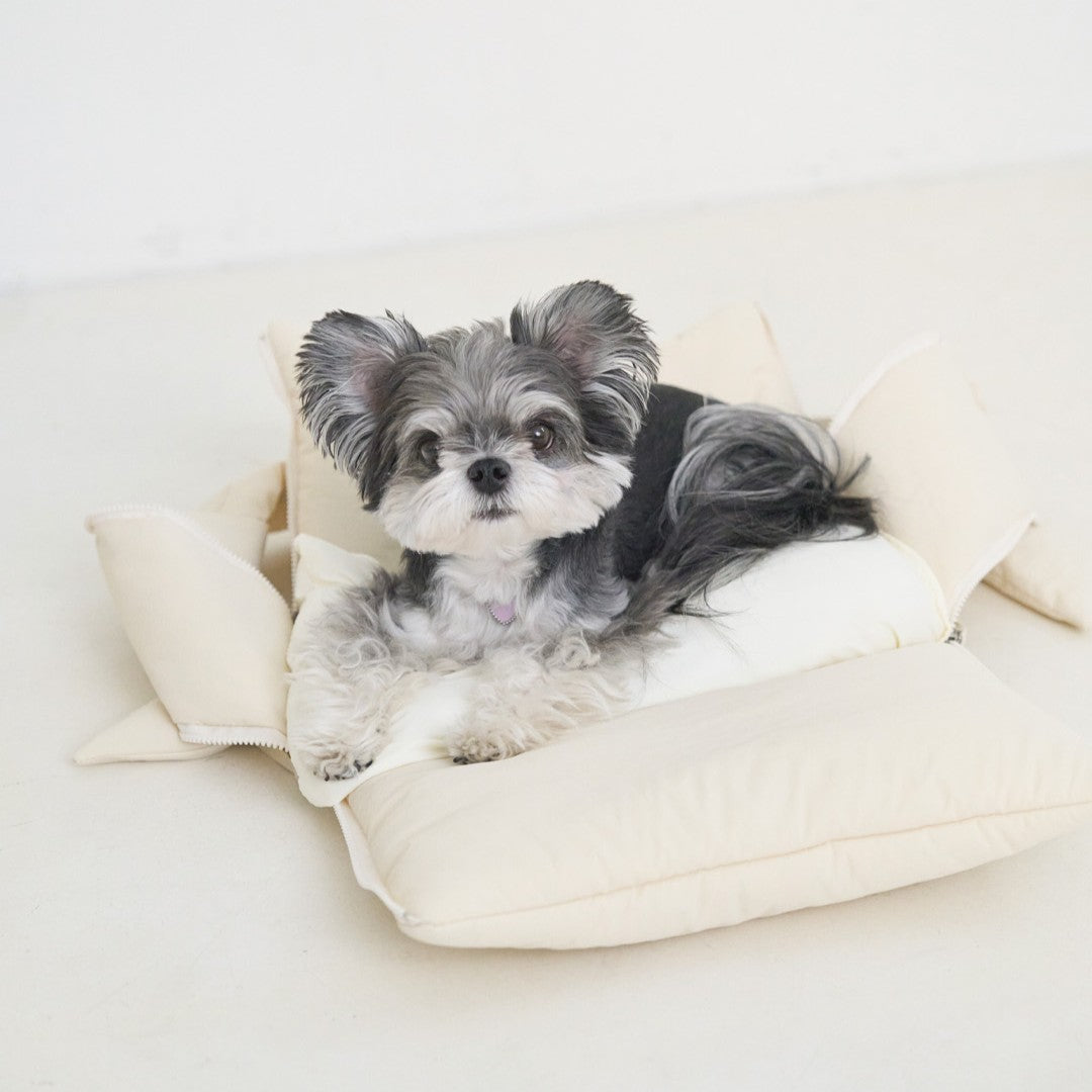 【予約】open bag - white