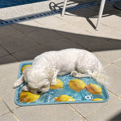 【予約】Lemon Cool Mat(単品購入不可)