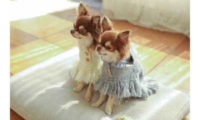 【予約】ポンチョ ニット コート