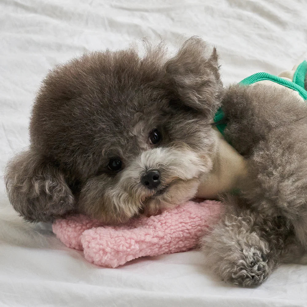 【予約】ANIMAL NOSEWORK TOY
