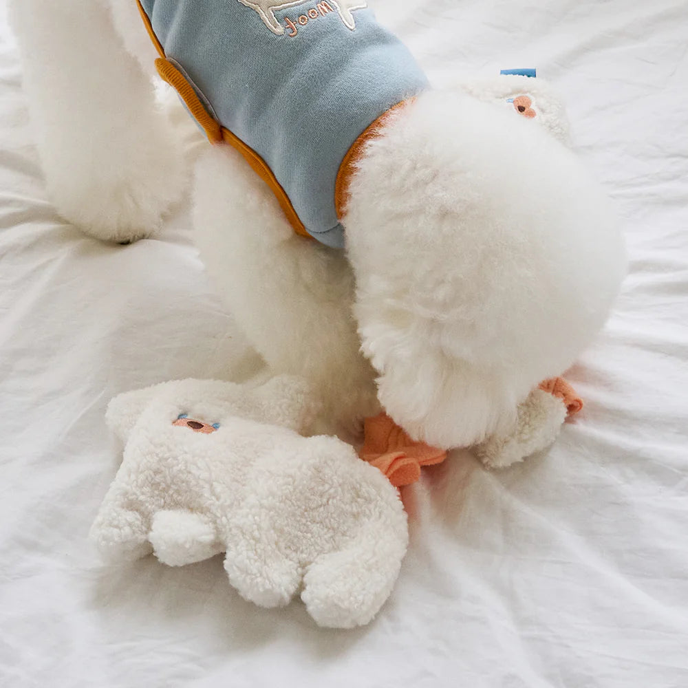 【予約】ANIMAL NOSEWORK TOY