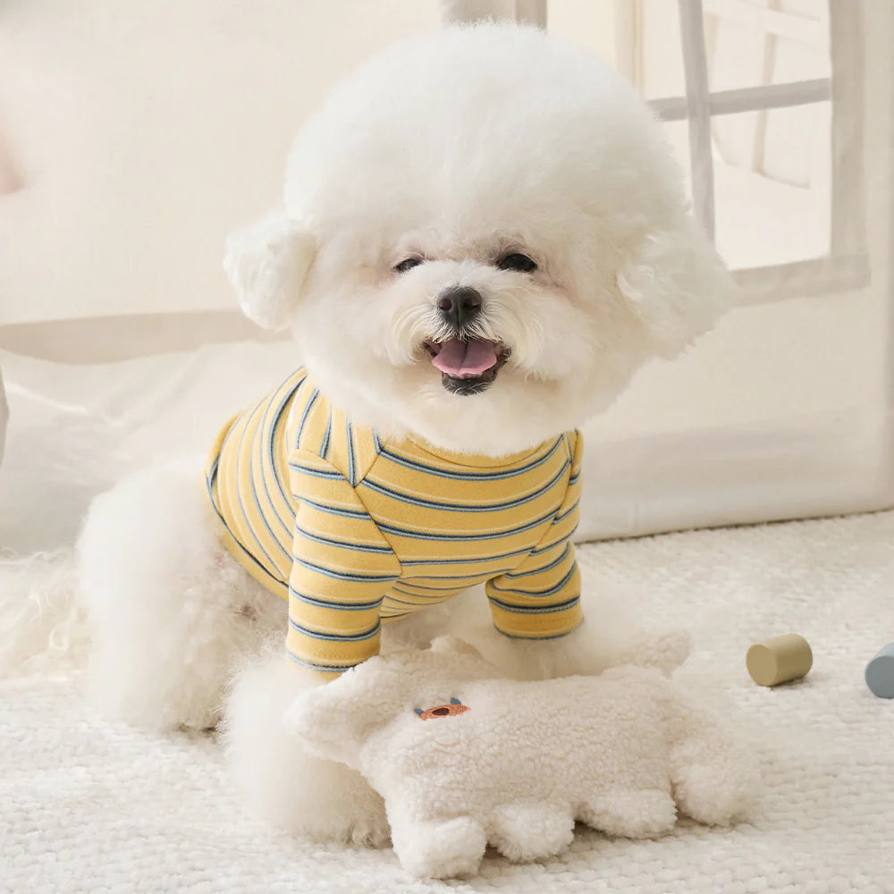 【予約】ANIMAL NOSEWORK TOY
