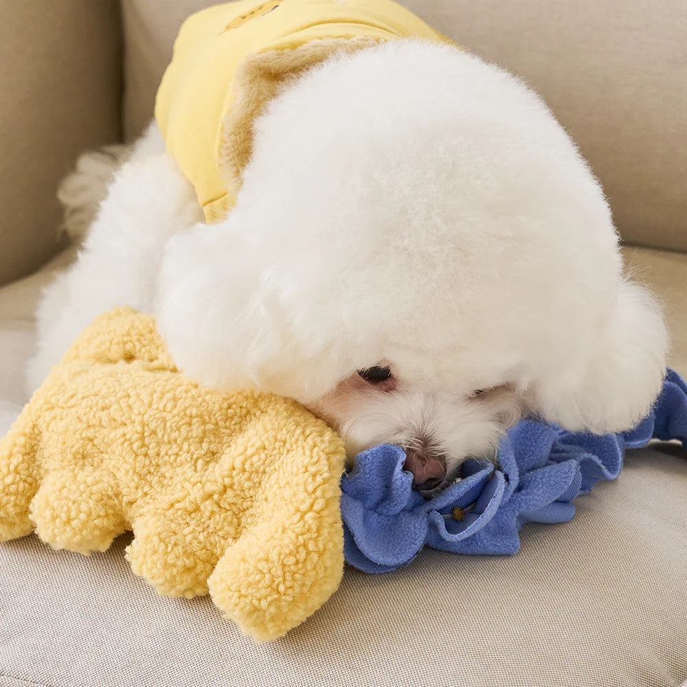 【予約】ANIMAL NOSEWORK TOY