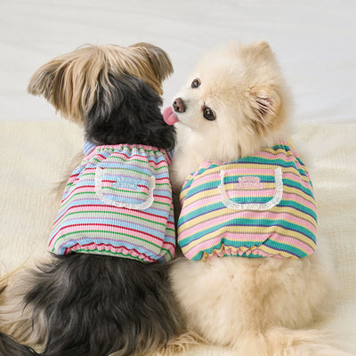 【予約】FESTA BALLOON TOP