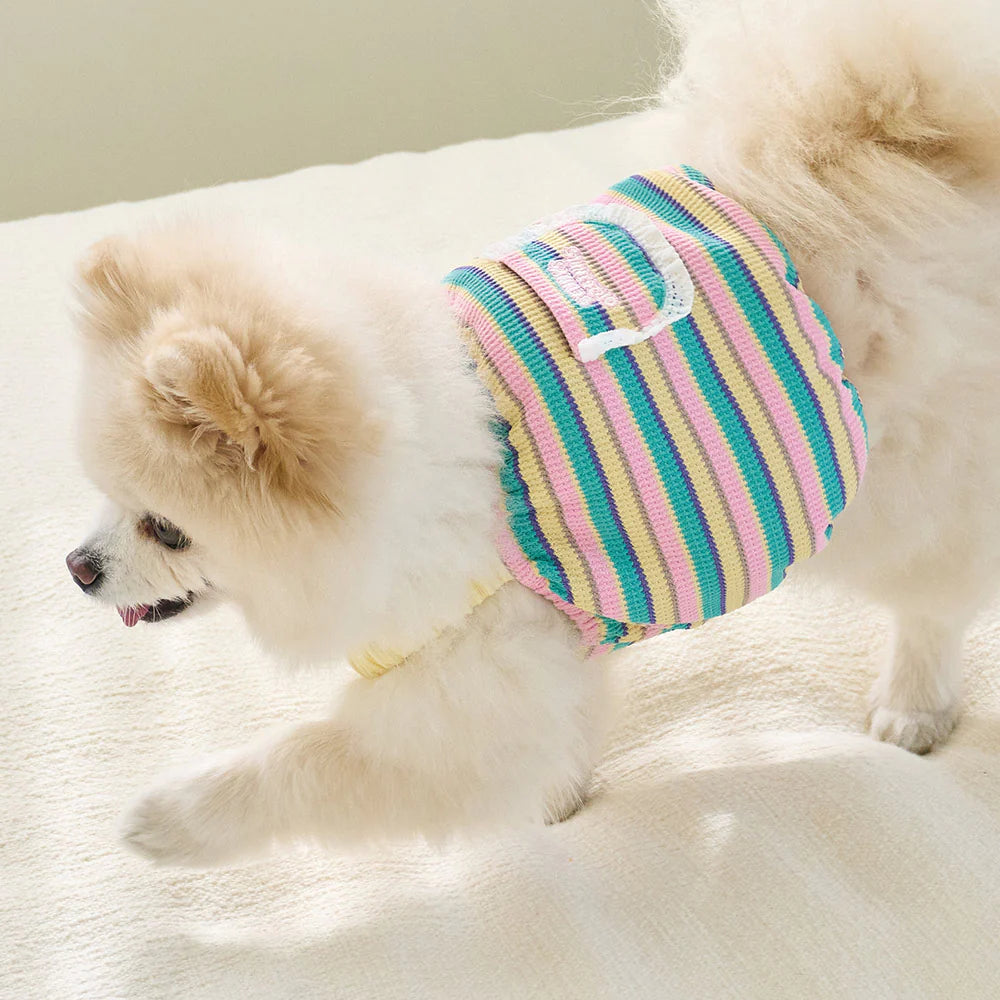 【予約】FESTA BALLOON TOP