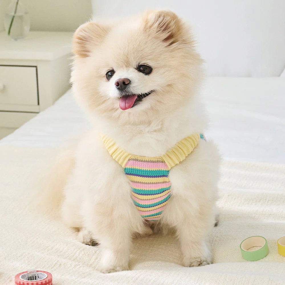 【予約】FESTA BALLOON TOP