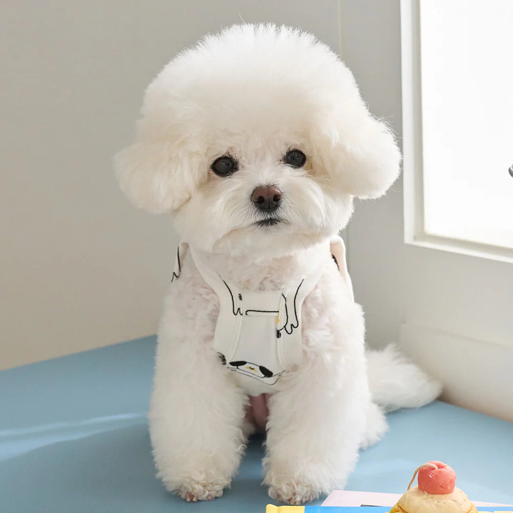 【予約】FLYING DOG CROP TOP