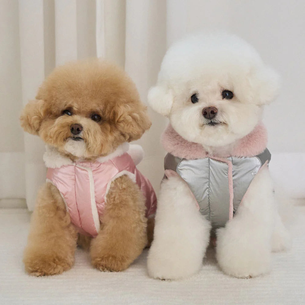 【予約】キセス ウェロン ダウン