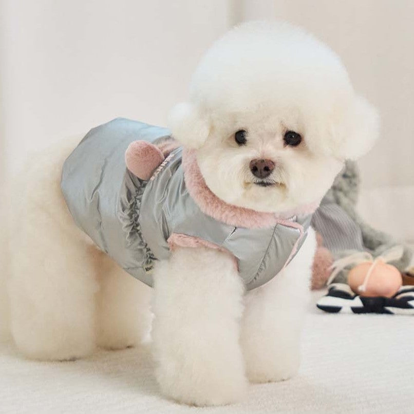 【予約】キセス ウェロン ダウン