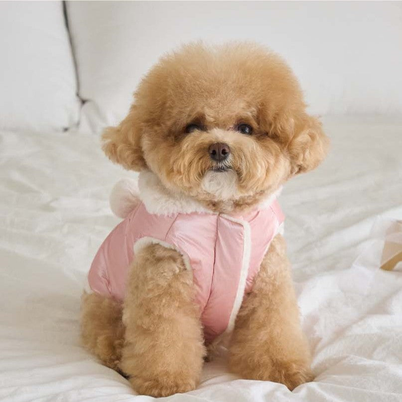 【予約】キセス ウェロン ダウン