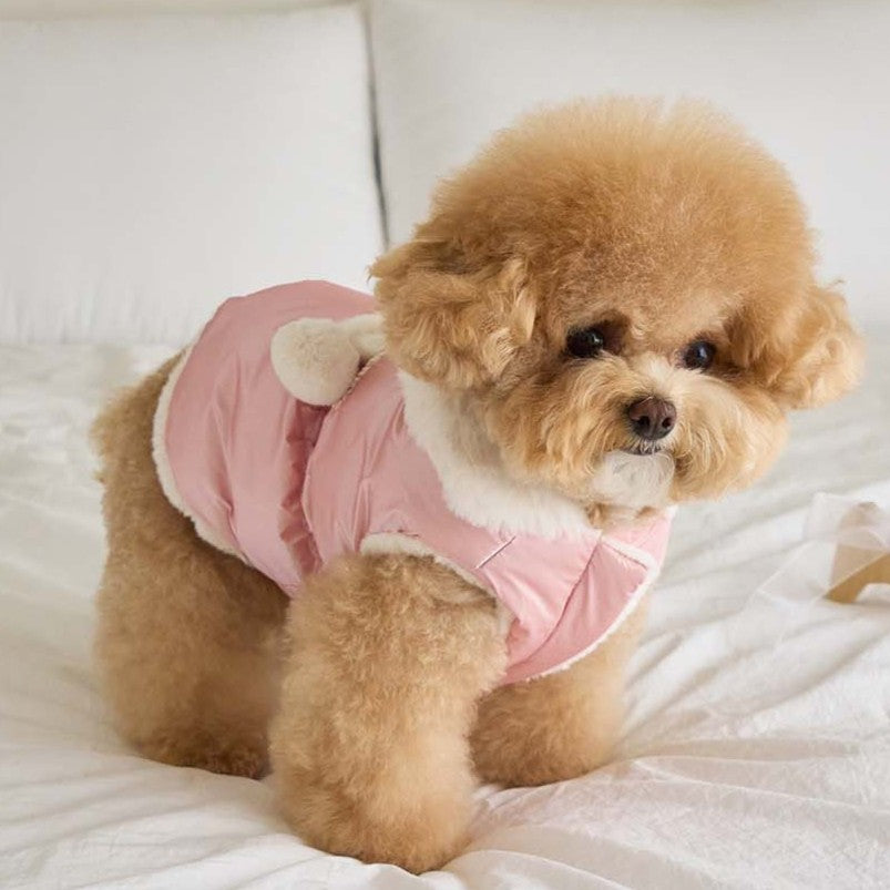 【予約】キセス ウェロン ダウン