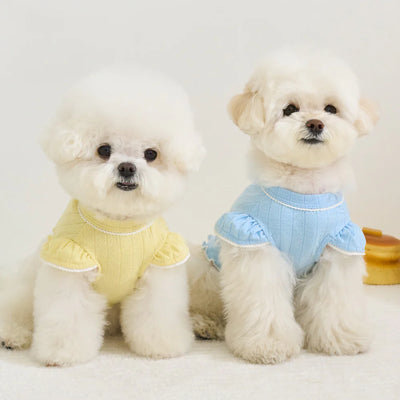 【予約】LIBERTY CROP TOP