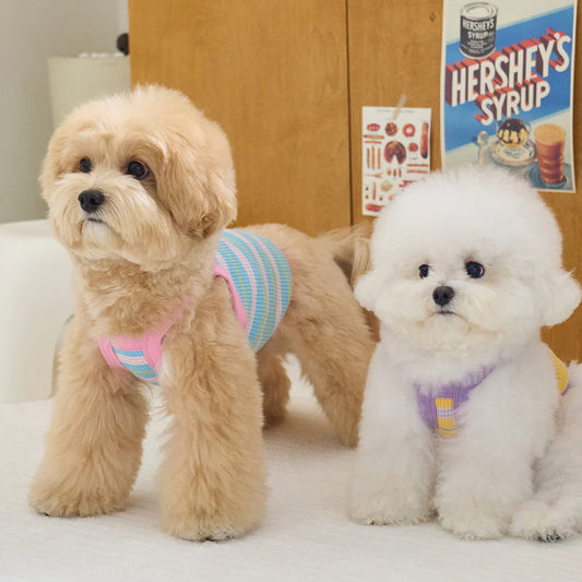 【予約】LOVE MORE CROP TOP