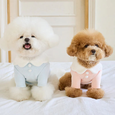 【予約】MILK FOAM CROP T-SHIRT