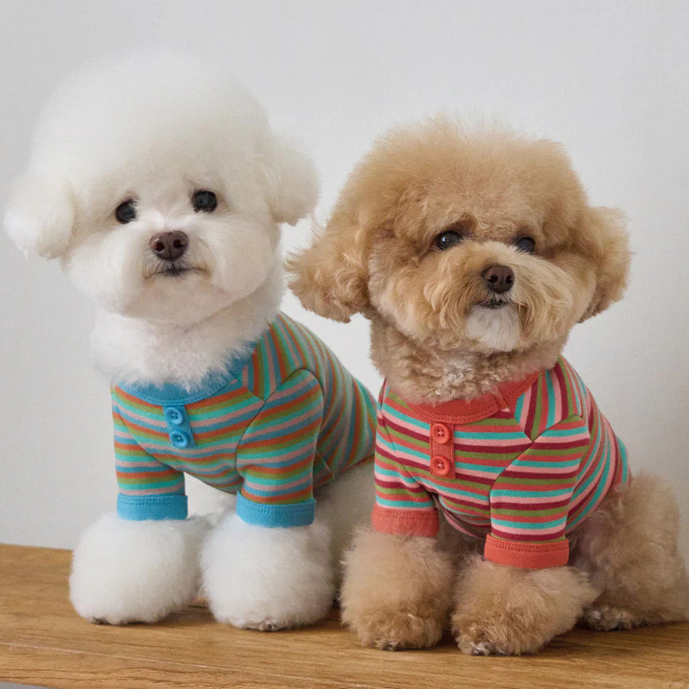 【予約】モデスト Tシャツ