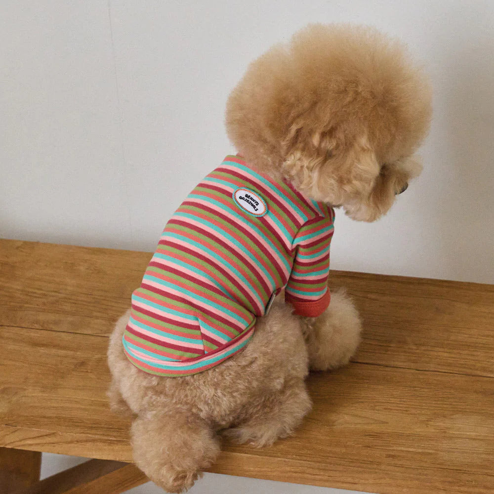 【予約】モデスト Tシャツ