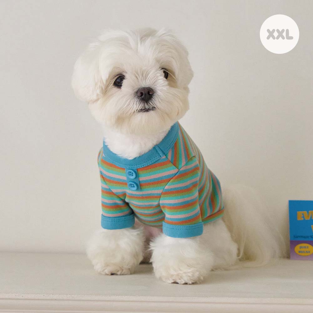 【予約】モデスト Tシャツ