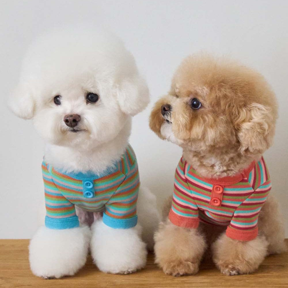 【予約】モデスト Tシャツ