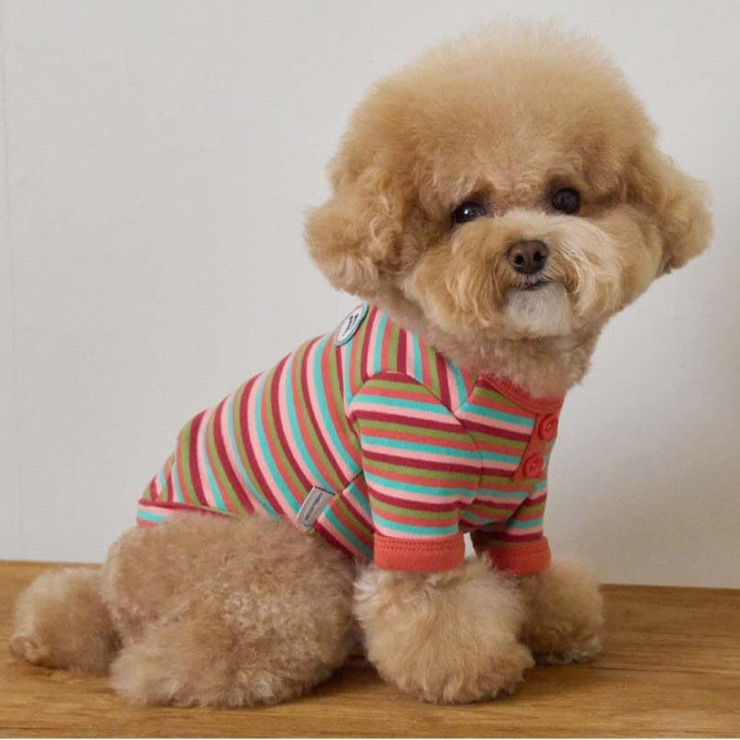 【予約】モデスト Tシャツ