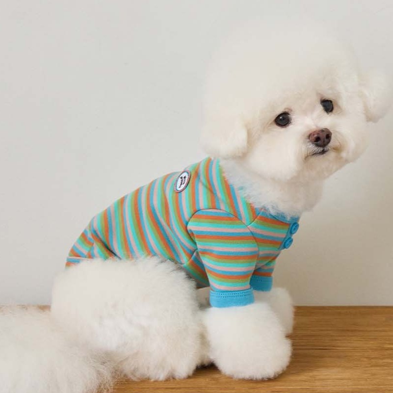 【予約】モデスト Tシャツ