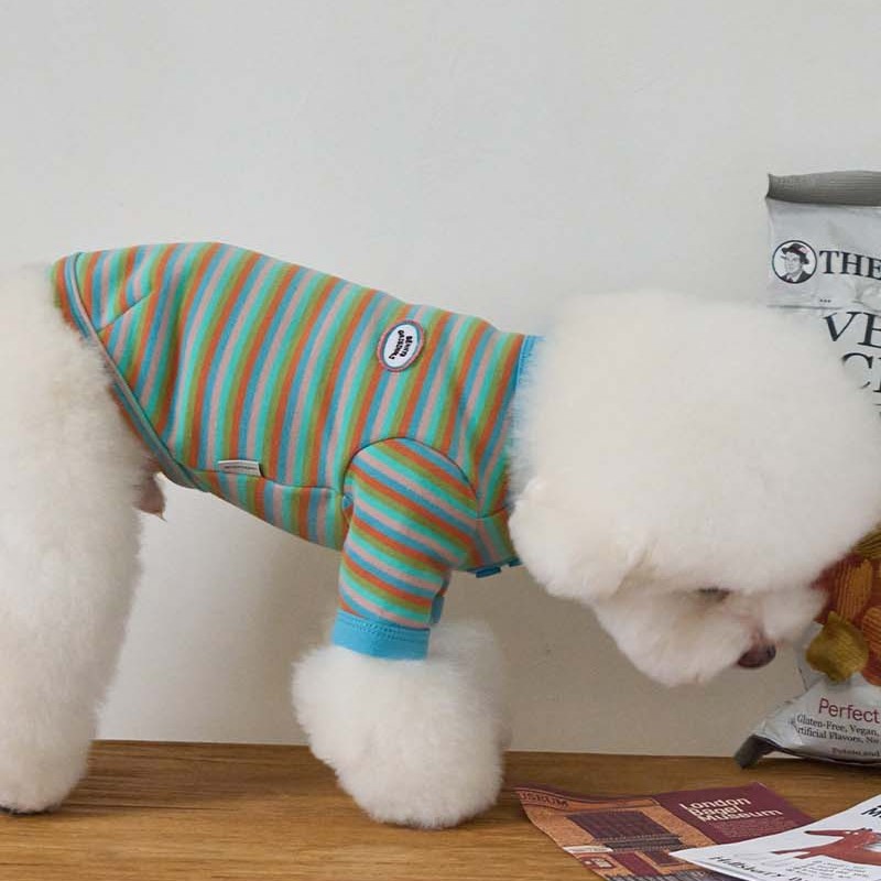 【予約】モデスト Tシャツ