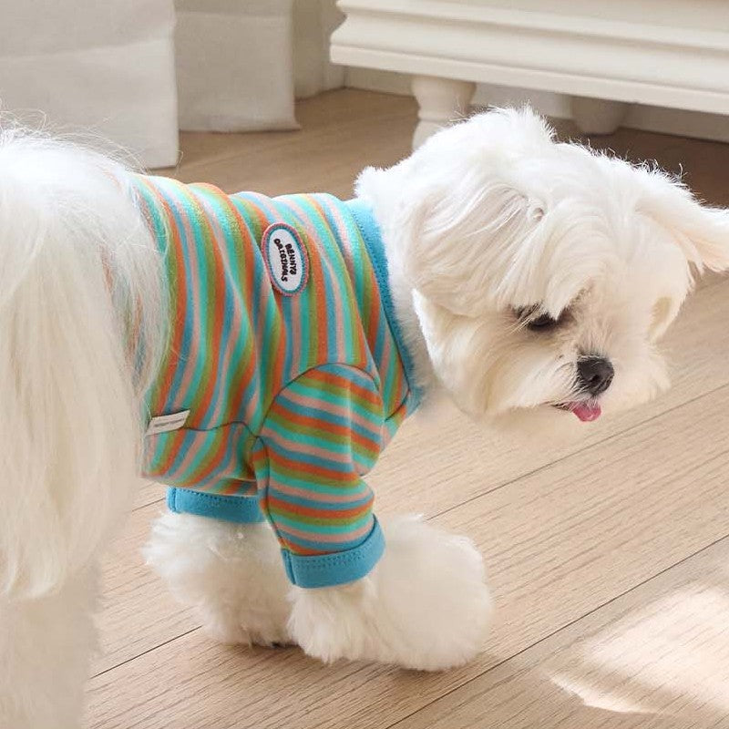 【予約】モデスト Tシャツ