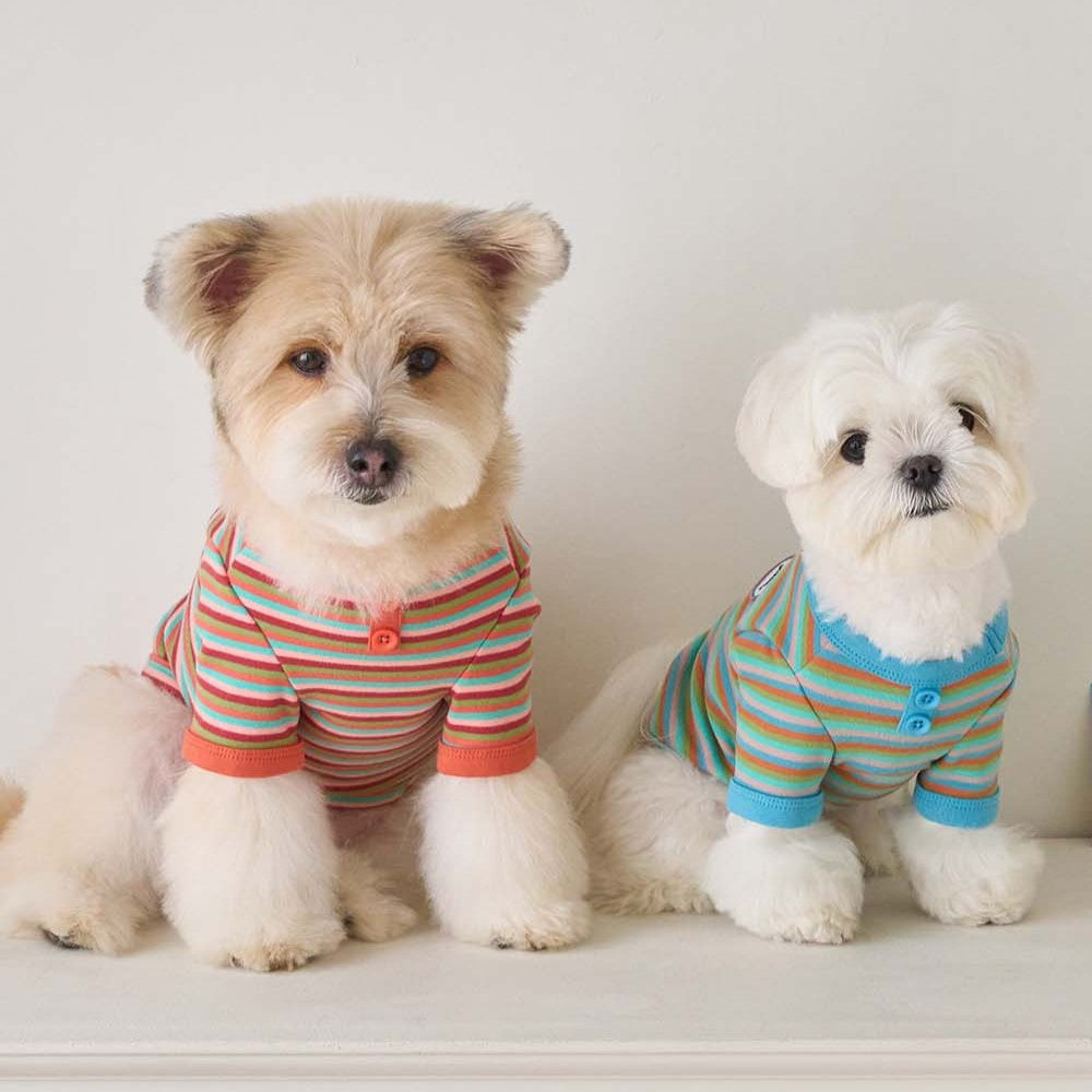 【予約】モデスト Tシャツ