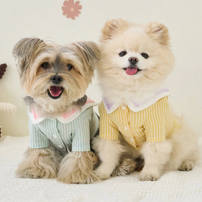 【予約】MOOD CROP SHIRT