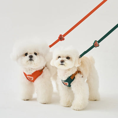 【予約】BENNYS MULTI LEASH