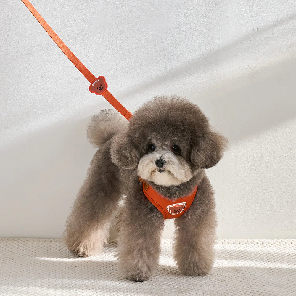 【予約】BENNYS MULTI LEASH