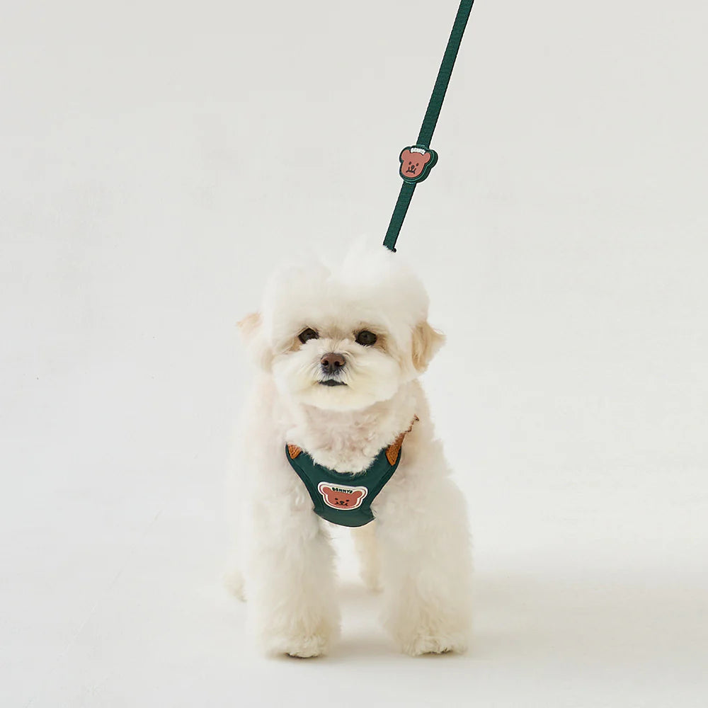【予約】BENNYS MULTI LEASH