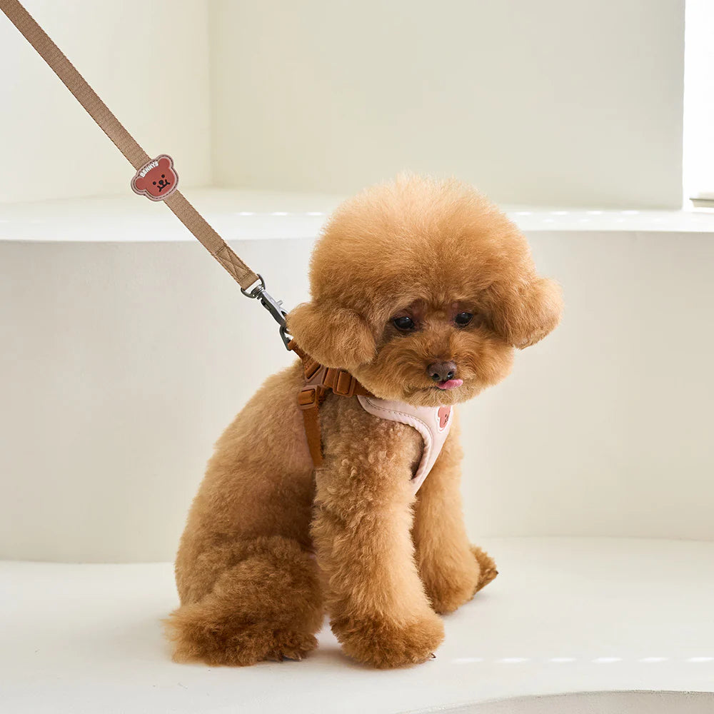【予約】BENNYS MULTI LEASH