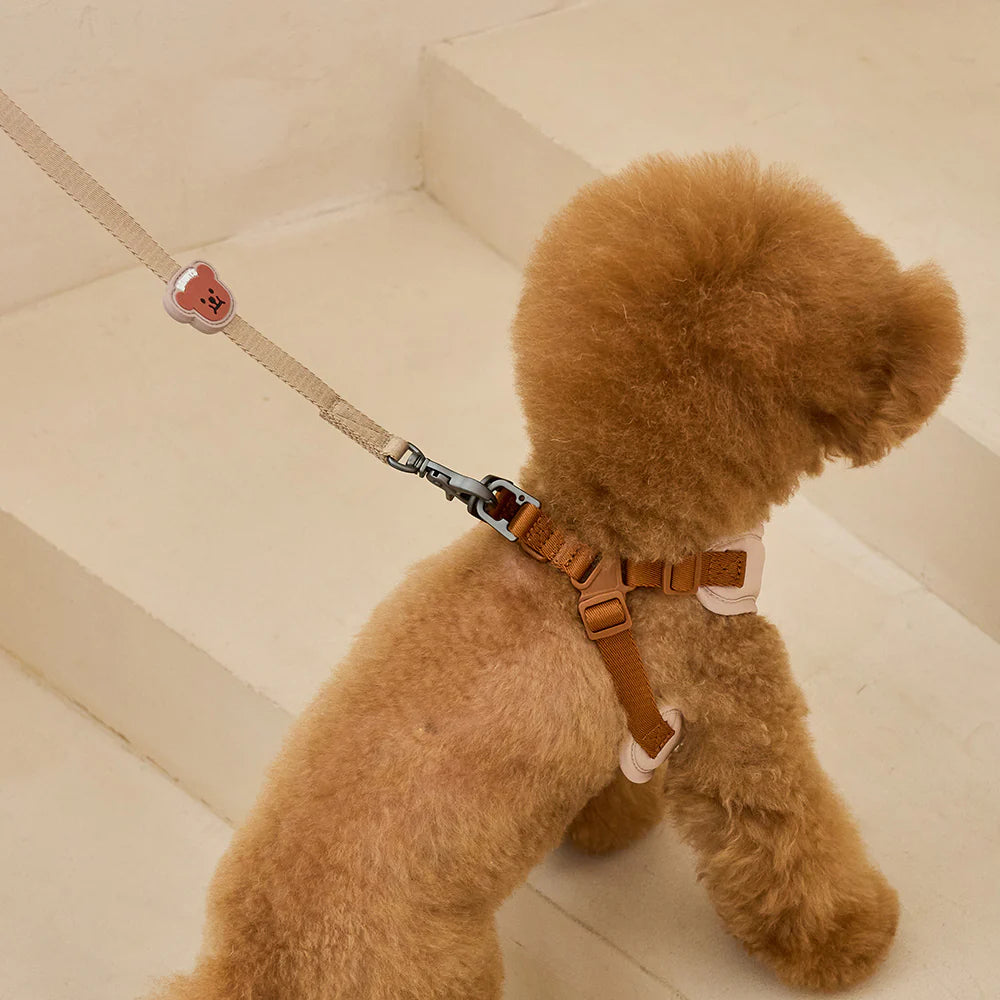 【予約】BENNYS MULTI LEASH