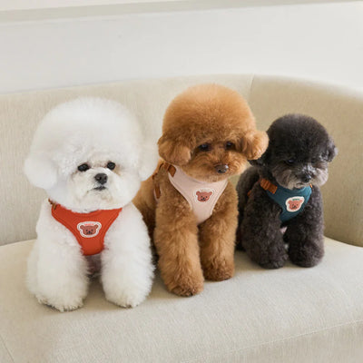 【予約】ONE TOUCH HARNES