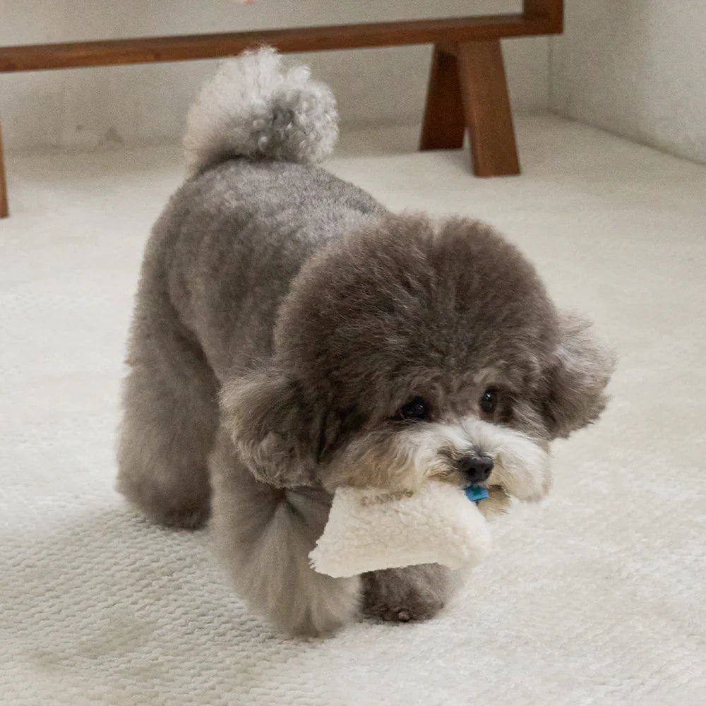【予約】PETIT ANIMAL TOY