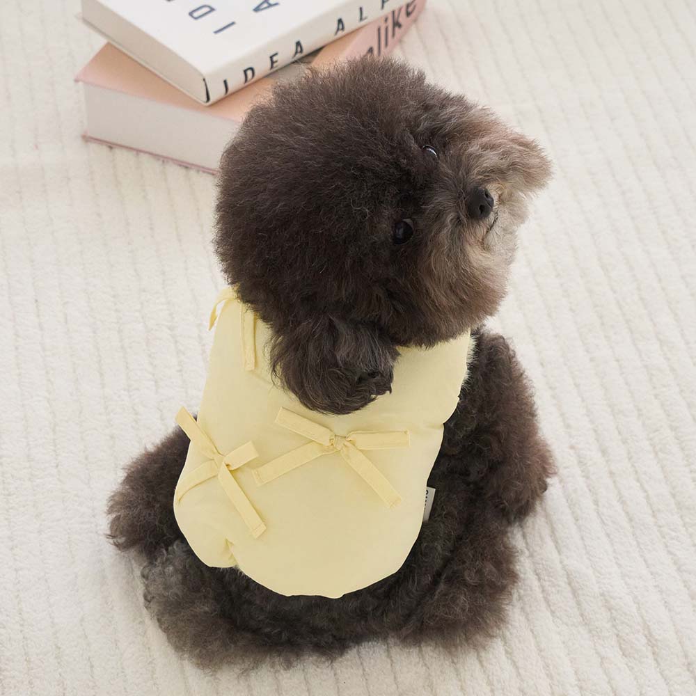 【予約】ポメロ ダウン