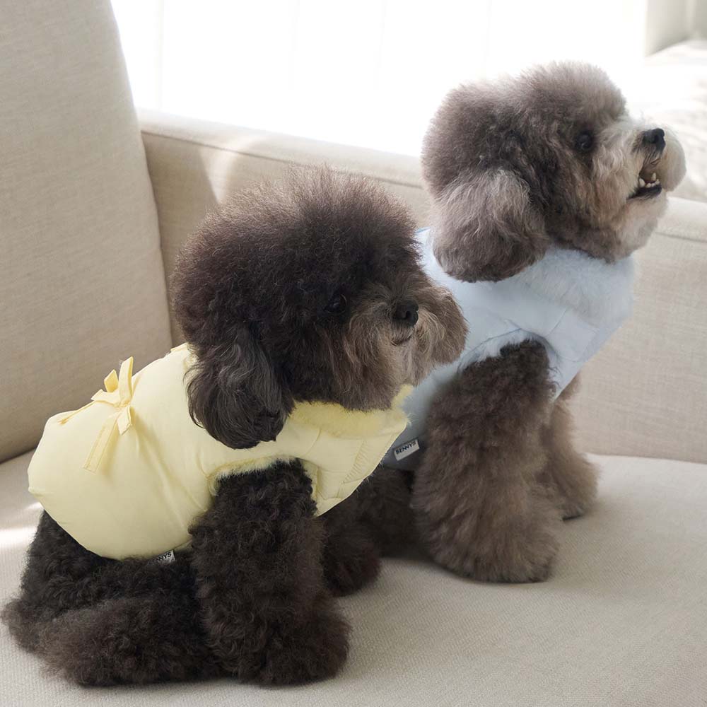 【予約】ポメロ ダウン