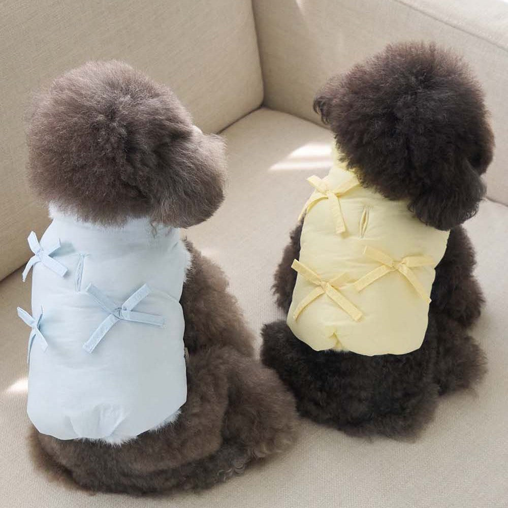 【予約】ポメロ ダウン