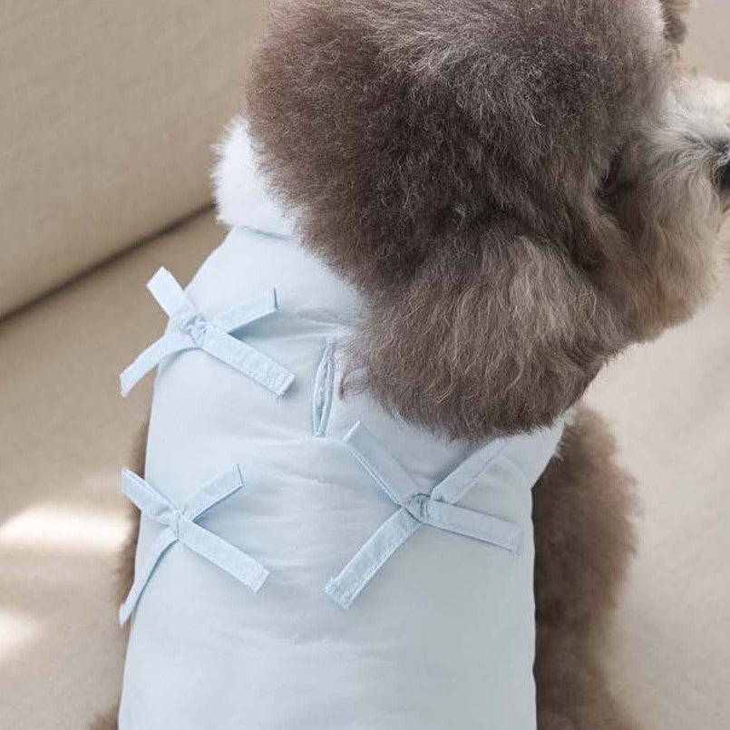 【予約】ポメロ ダウン