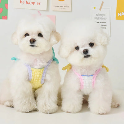 【予約】POPPING CROP TOP