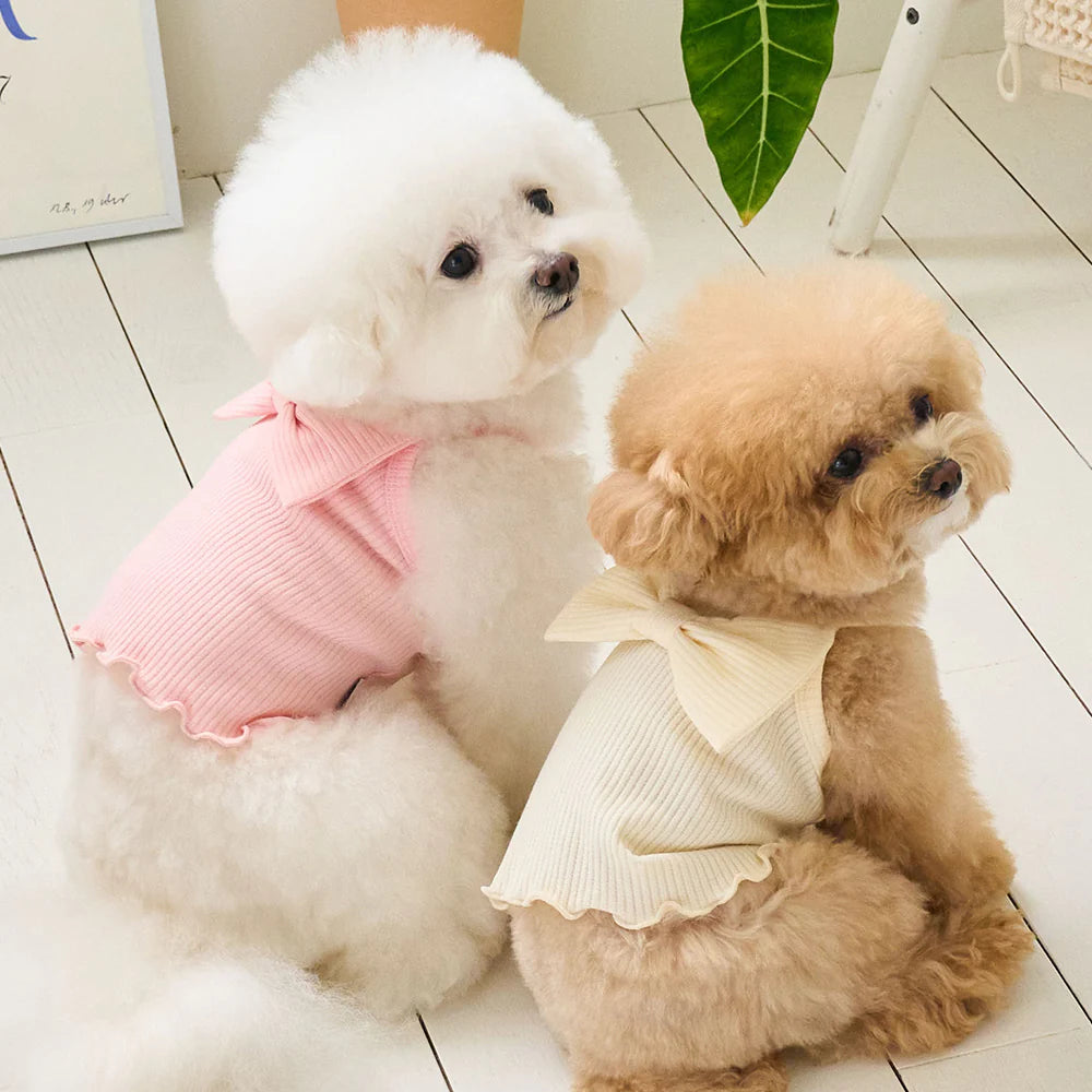 【予約】RIBBONY CROP TOP