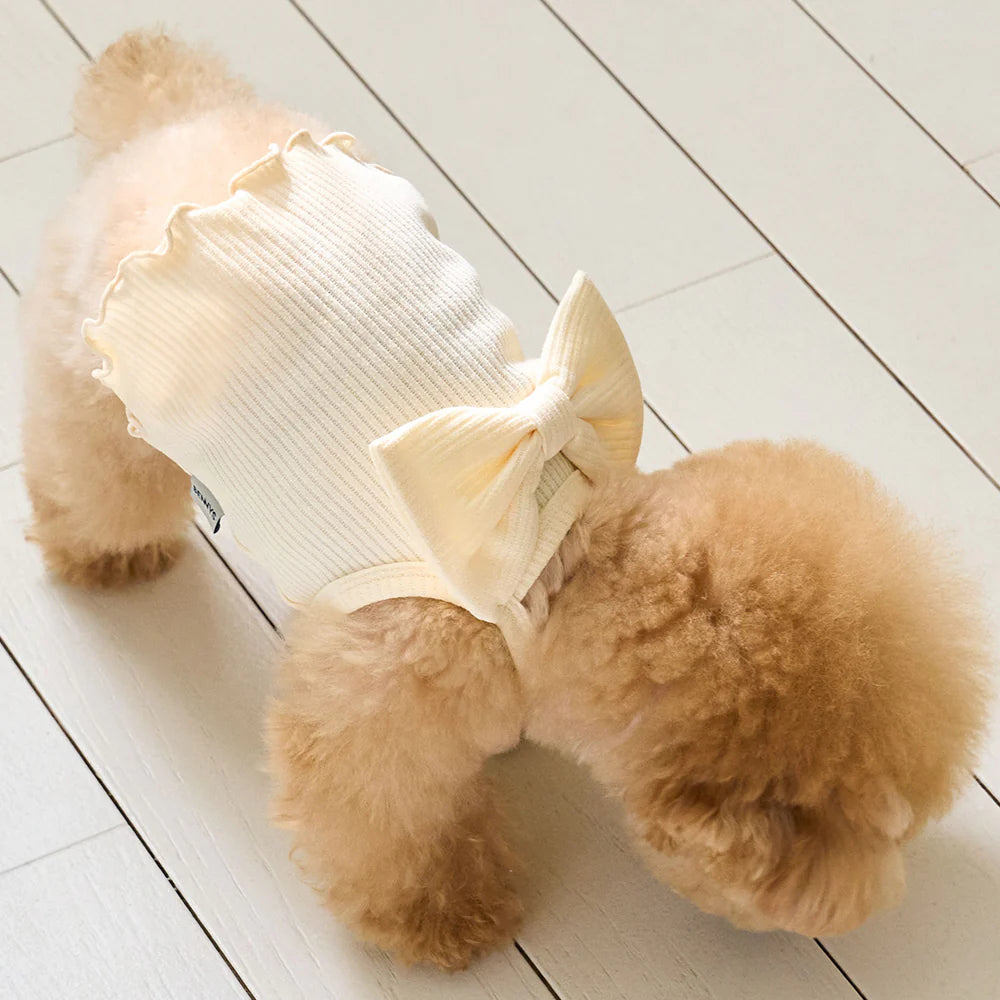 【予約】RIBBONY CROP TOP